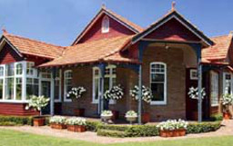 Plant Rental for Selling Property Greater Sydney Area