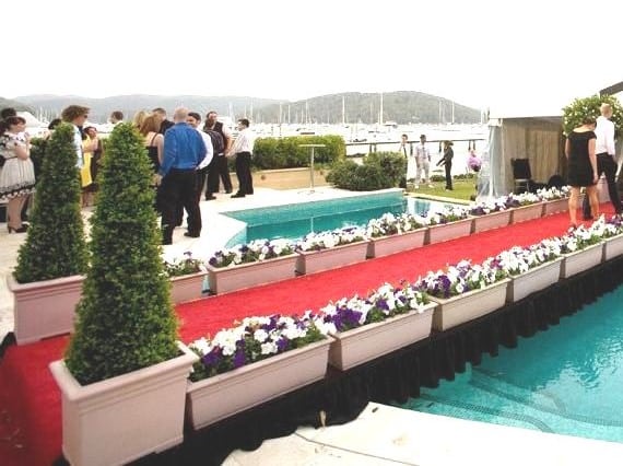 Plant Rental for Special Events Greater Sydney Area