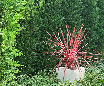 Garden Makeovers Greater Sydney Area