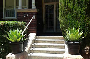 agave-pair-entry-rentagarden