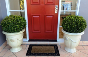 box-balls-entry-rentagarden