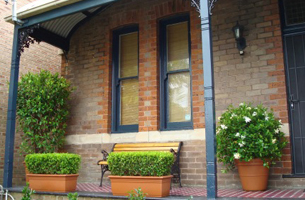 box-hedges-gardenia-shrub-entry-rentagarden