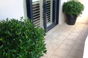 gardenia-shrubs-entry-rentagarden