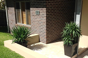 yuccas-entry-rentagarden